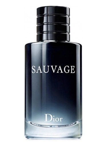 Άρωμα Τύπου Sauvage - Dior Άρωμα Τύπου Sauvage - Dior
